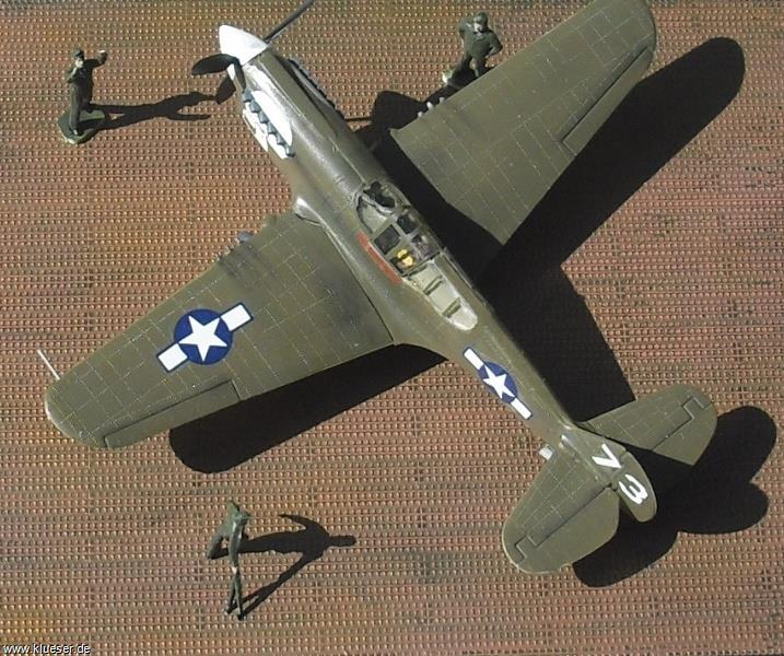 Curtiss P40 Warhawk Skull